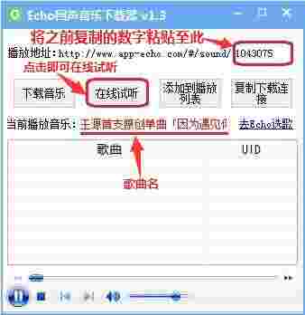 Echo回声音乐下载器v1.3