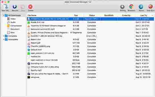 Neat Download Manager中文版