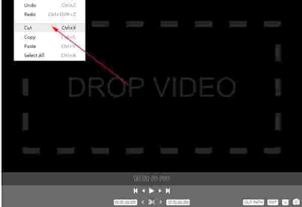 LosslessCut中文版