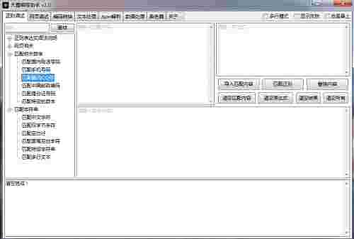 天霸编程助手v2.1