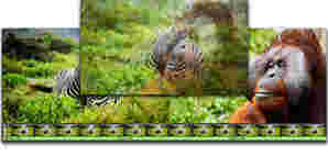 VideoPadVideoEditor13.77