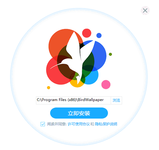 小鸟壁纸精简版