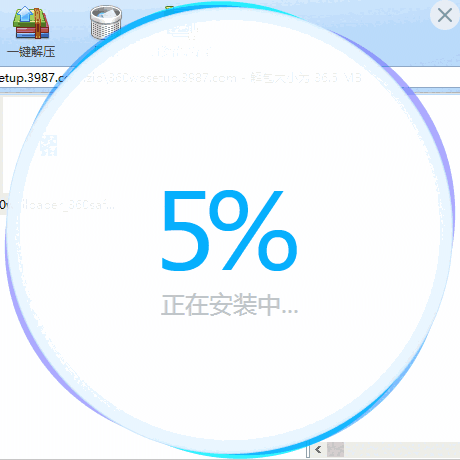 小鸟壁纸精简版