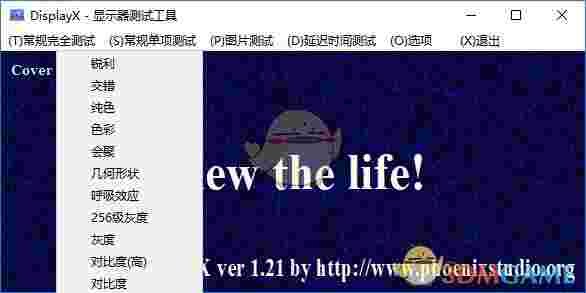 DisplayX(显示器测试)v1.2