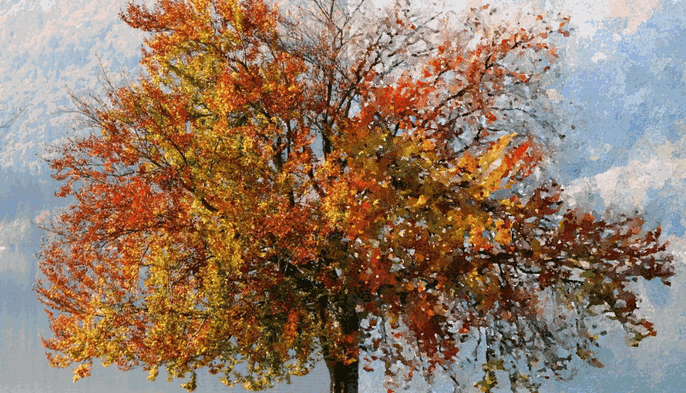 FotoSketcher 3.90-64bit