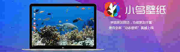 小鸟壁纸 v3.1122.1610.715