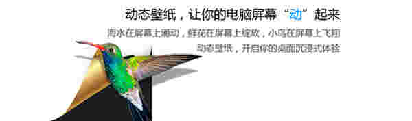 小鸟壁纸 v3.1122.1610.715