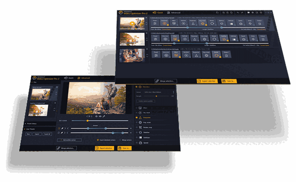 Ashampoo Video Optimizer Pro 2最新版