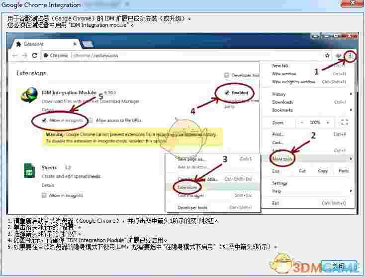 《Internet Download Manager》高速下载器