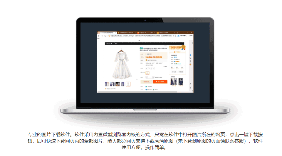 神奇网页图片下载机