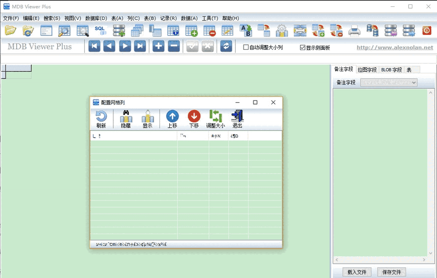 mdb viewer plus中文版