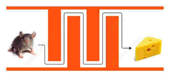 Grapholite官方版v5.5.4