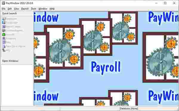 PayWindow 2022(薪酬管理软件)v20.0.6