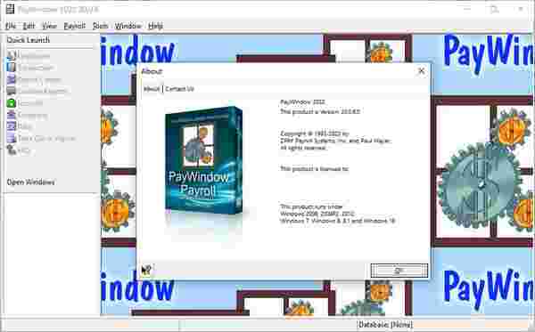 PayWindow 2022(薪酬管理软件)v20.0.6
