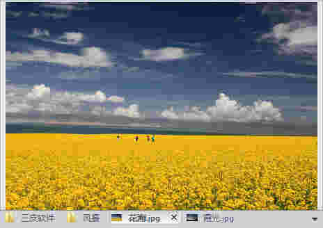 Viewlet 图像管理大师V3.0