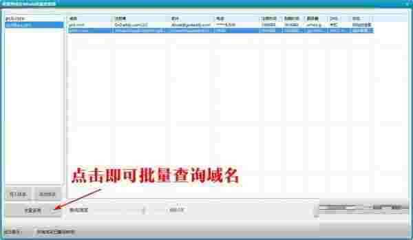 零视界域名whois批量查询器V1.0