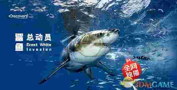 《咪咕视频》官方版