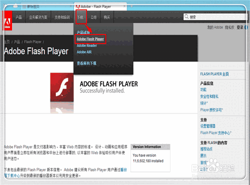 FlashPlayer电脑版