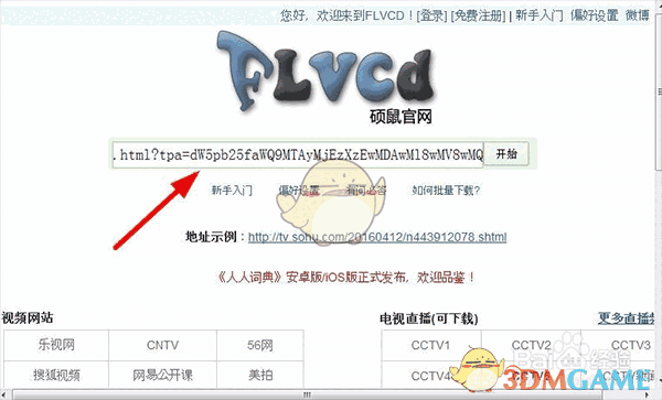 《硕鼠FLV》视频下载软件