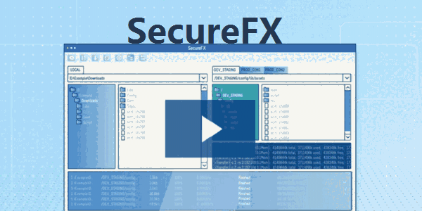 SecureFX最新版