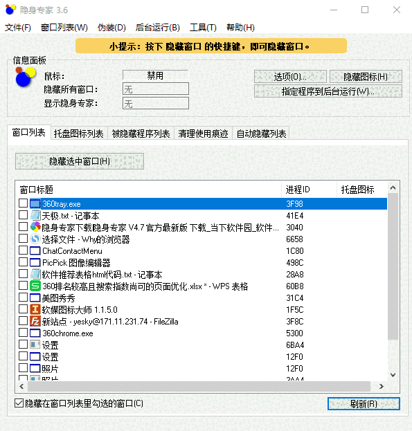 《隐身专家》电脑版