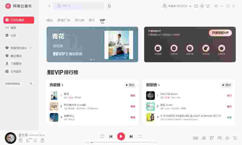 网易云音乐v2.10.13.202675