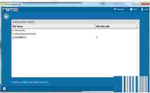 Remo Repair ZipV2.0.0.25