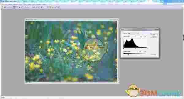 SunlitGreen BatchBlitzv3.4.0.2627