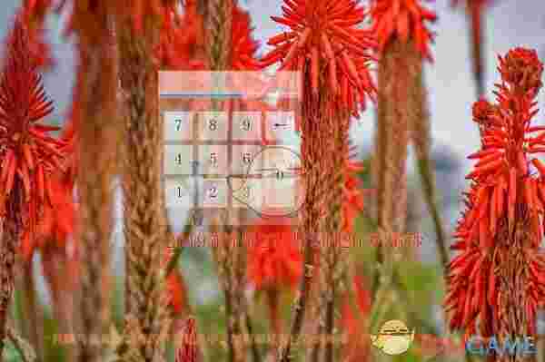 动态密码屏幕锁v1.0