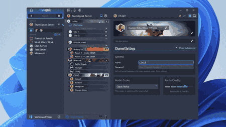 teamspeak3-server_win32-3.13.7