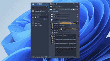 teamspeak3-server_win32-3.13.7